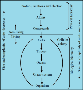 CHAPTER 1 LIVING WORLD BIOLOGY 