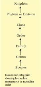 CHAPTER 1 LIVING WORLD BIOLOGY