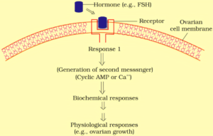 CHEMICAL COORDINATION AND INTEGRATION