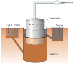 MICROBES IN HUMAN WELFARE , bio gas plant 