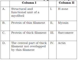 20 LOCOMOTION AND MOVEMENT QUESTIONS