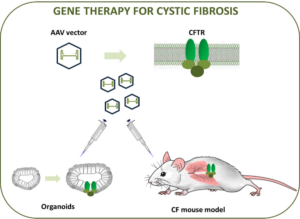 BIOTECHNOLOGY AND ITS APPLICATIONS