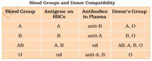 18 BODY FLUIDS AND CIRCULATION