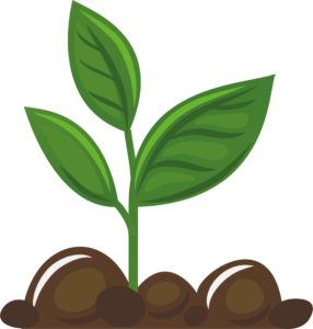14 RESPIRATION IN PLANTS QUESTIONS